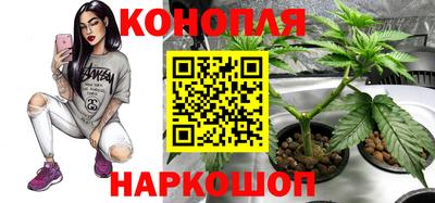 гидра Мариинск