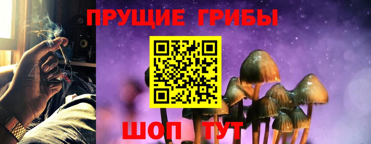 Хасавюрт  Псилоцибиновые грибы Cubensis  Вход с VPN 